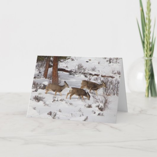 Deer Kaart (Voorkant)