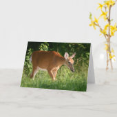 Deer Kaart (Gele Bloem)