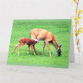 Deer Kaart (Gele Bloem)