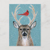 Deer, kardinaal, sneeuw, kerstwinter briefkaart (Voorkant)