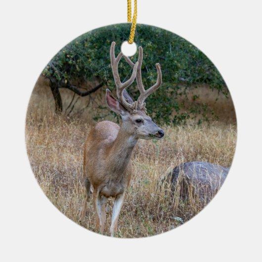Deer Kerstsierent Keramisch Ornament (Voorkant)