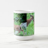 Deer Kissing Fawn Koffiemok (Center)