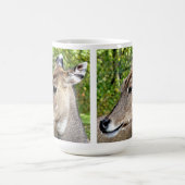 DEER KOFFIEMOK (Center)