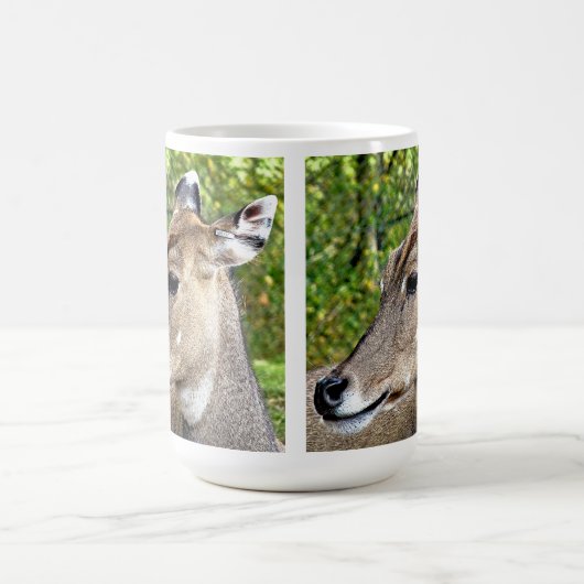 DEER KOFFIEMOK (Center)