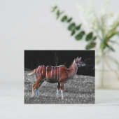 Deer Kudu Briefkaart (Staand voorkant)