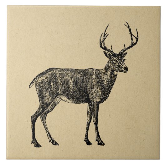 -deer-kunst geïllustreerd door deer tegeltje (Voorkant)