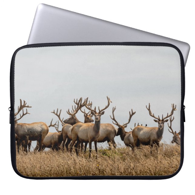 DEER LAPTOP SLEEVE (Voorkant)