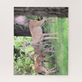 Deer Legpuzzel (Verticaal)