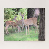 Deer Legpuzzel (Horizontaal)