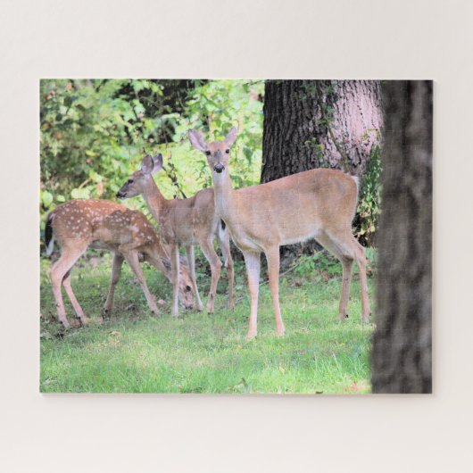 Deer Legpuzzel (Horizontaal)