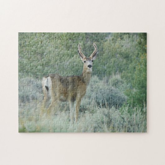 Deer Legpuzzel (Horizontaal)