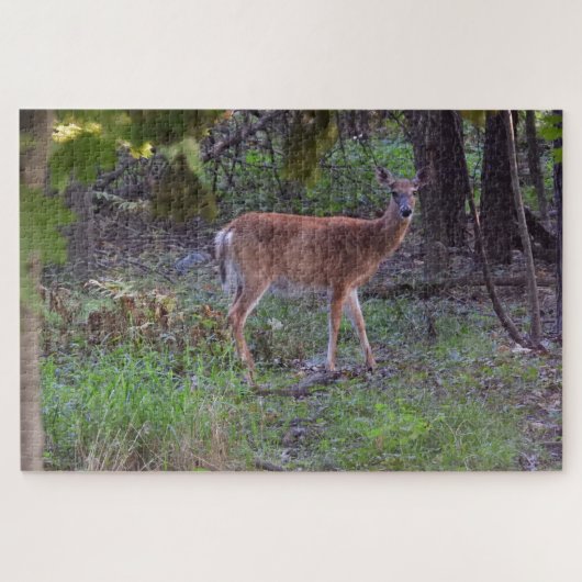 Deer loopt door het bos legpuzzel (Horizontaal)