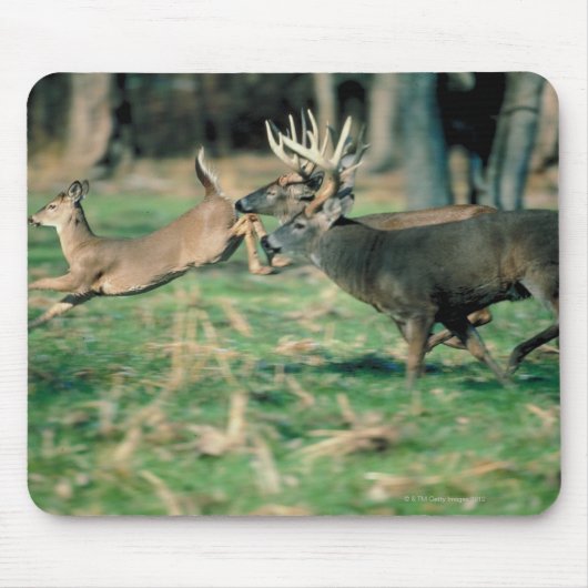 Deer loopt in het bos muismat (Voorkant)