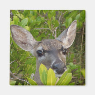 Deer Lovers Gift Ideeën Magneet