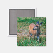 Deer Magneet (Voorkant / Achterkant)