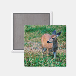 Deer Magneet