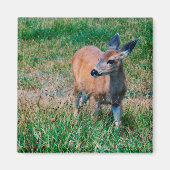 Deer Magneet (Voorkant)