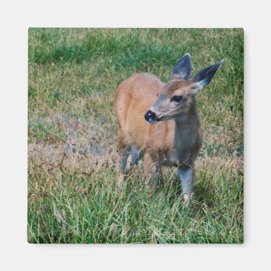 Deer Magneet (Voorkant)