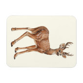 Deer Magneet (Horizontaal)