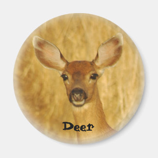 Deer Magnet