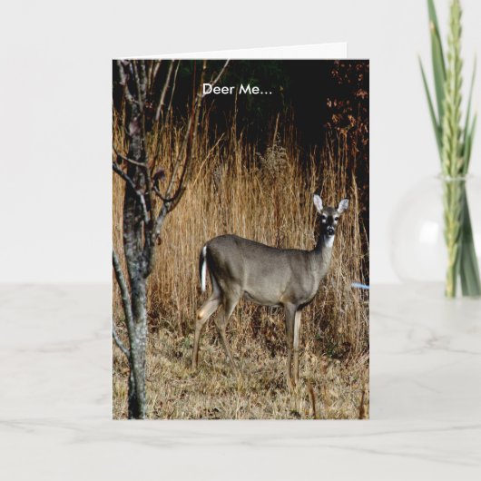 Deer Me Get Well Card Featuring a Beautiful Doe Kaart (Voorkant)