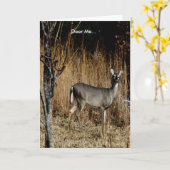 Deer Me Get Well Card Featuring a Beautiful Doe Kaart (Gele Bloem)