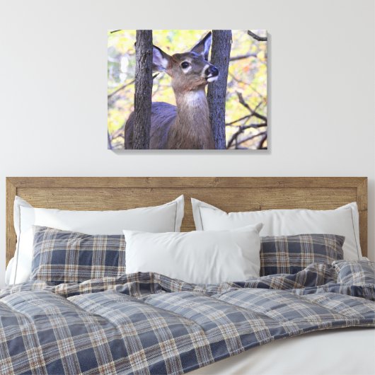 Deer Meeting in de Bossen Canvas Afdruk (Insitu (Slaapkamer))