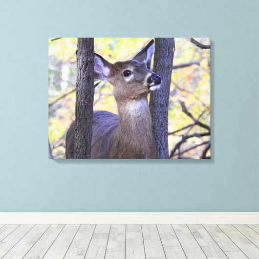 Deer Meeting in de Bossen Canvas Afdruk (Insitu (Houten vloer))