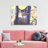 Deer Meeting in de Bossen Canvas Afdruk (Insitu (Woonkamer))