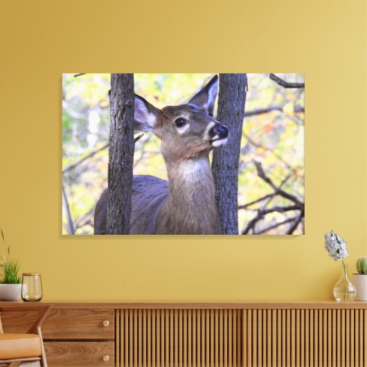 Deer Meeting in de Bossen Canvas Afdruk (Insitu (Woonkamer))