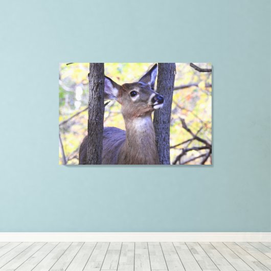 Deer Meeting in de Bossen Canvas Afdruk (Insitu (Houten vloer))