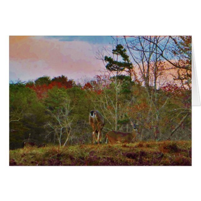 Deer met een roze blauwe lucht (Voorkant Horizontaal)