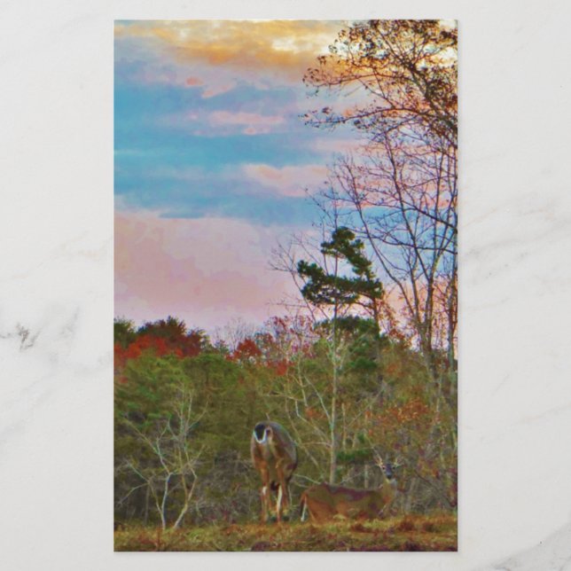 Deer met een roze blauwe lucht (Voorkant)