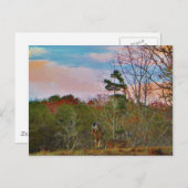 Deer met een roze blauwe lucht briefkaart (Voorkant / Achterkant)