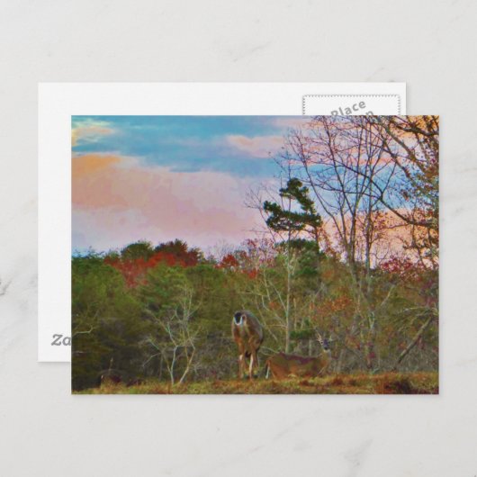 Deer met een roze blauwe lucht briefkaart (Voorkant / Achterkant)