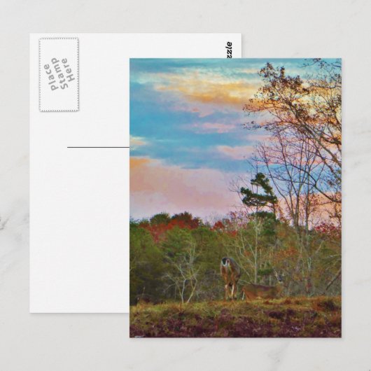 Deer met een roze blauwe lucht briefkaart (Voorkant / Achterkant)