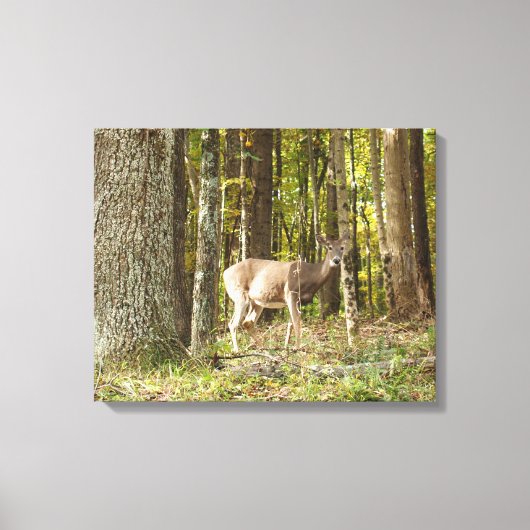 Deer mij canvas afdruk (Voorkant)