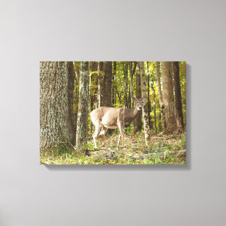 Deer mij canvas afdruk