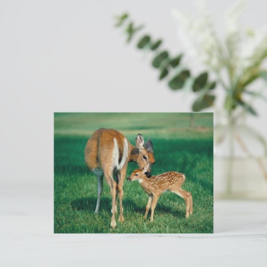 Deer Moeder & Fawn Briefkaart (Staand voorkant)