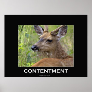 Deer Motivatie Poster
