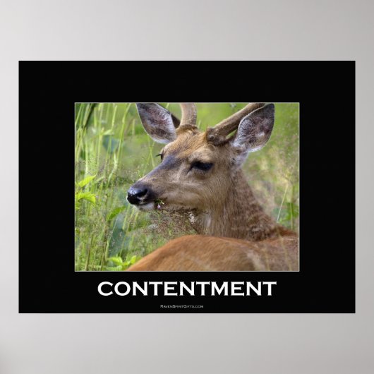 Deer Motivatie Poster (Voorkant)