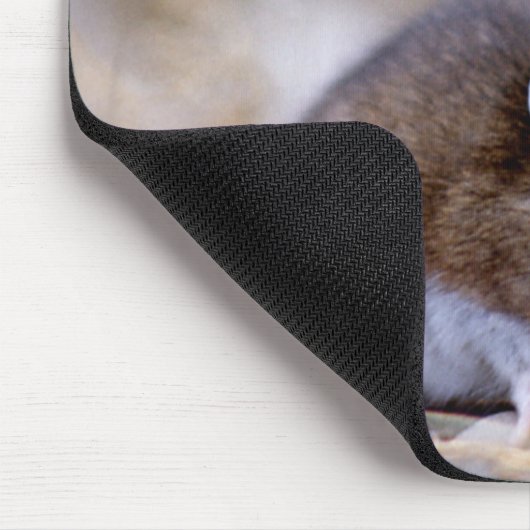 Deer Mouse on a Mousepad Muismat (Hoek)