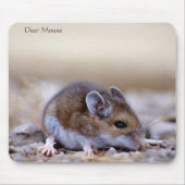 Deer Mouse on a Mousepad Muismat (Voorkant)