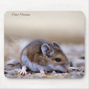 Deer Mouse on a Mousepad Muismat