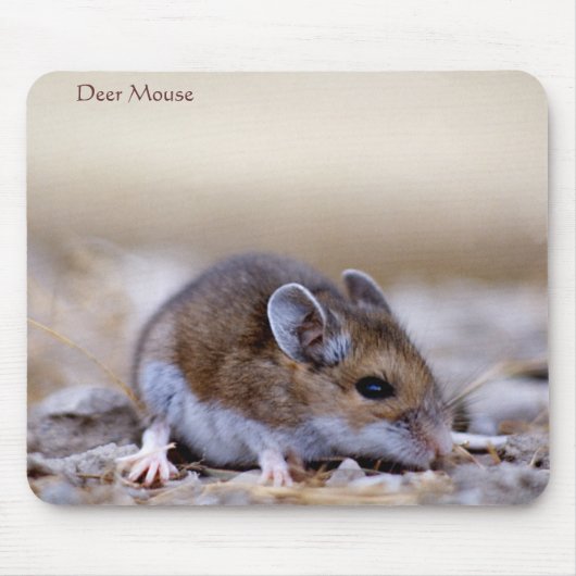 Deer Mouse on a Mousepad Muismat (Voorkant)