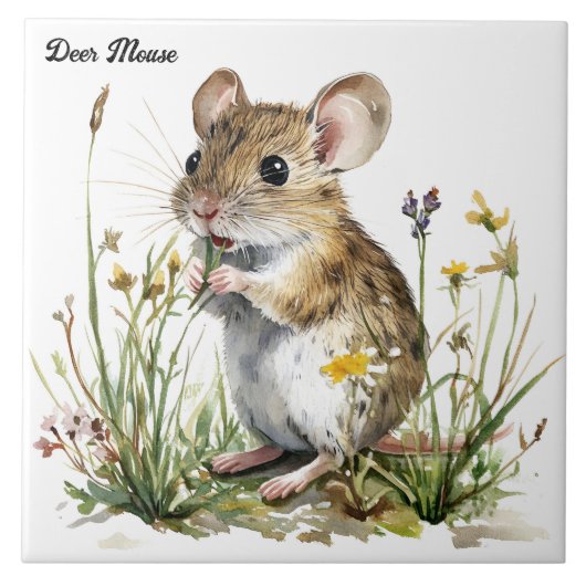 Deer Mouse Tegeltje (Voorkant)