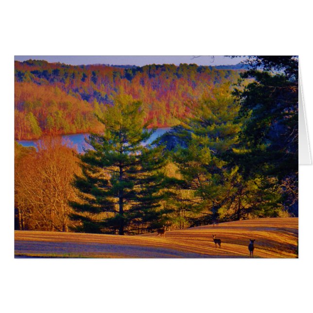 Deer & Mt Lake (Voorkant Horizontaal)