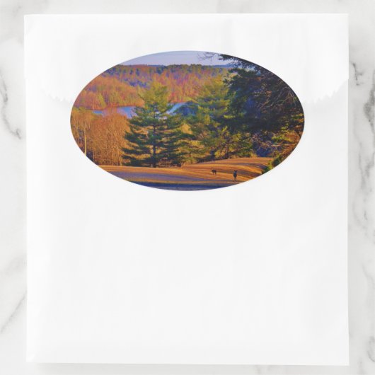 Deer & Mt Lake Ovale Sticker (Tas)