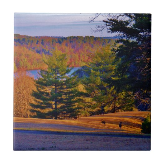 Deer & Mt Lake Tegeltje (Voorkant)