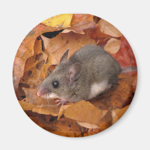 Deer-muis Magnet